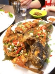 우럭구이 - 뽐뿌:맛집포럼 우럭구이