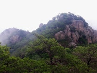 2020.06.13(토) [속리산] 묘봉 산행후기(운흥1리마을~상학봉~묘봉, 원점회귀) - 뽐뿌:등산포럼 2020.06.13(토) [속리산] 묘봉 산행후기... 