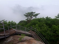 2020.06.13(토) [속리산] 묘봉 산행후기(운흥1리마을~상학봉~묘봉, 원점회귀) - 뽐뿌:등산포럼 2020.06.13(토) [속리산] 묘봉 산행후기... 