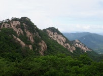 2020.06.13(토) [속리산] 묘봉 산행후기(운흥1리마을~상학봉~묘봉, 원점회귀) - 뽐뿌:등산포럼 2020.06.13(토) [속리산] 묘봉 산행후기... 
