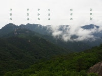 2020.06.13(토) [속리산] 묘봉 산행후기(운흥1리마을~상학봉~묘봉, 원점회귀) - 뽐뿌:등산포럼 2020.06.13(토) [속리산] 묘봉 산행후기... 