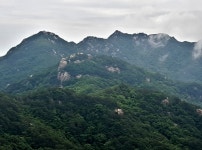2020.06.13(토) [속리산] 묘봉 산행후기(운흥1리마을~상학봉~묘봉... 06.13(토) [속리산] 묘봉 산행후기(운흥1리마을~상학봉~묘봉, 원점회귀)