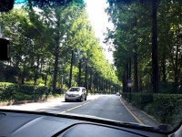 양재천로는 눈정화하는 곳이라 생각됩니다ㅋ - 뽐뿌:자동차포럼 양재천로는 눈정화하는 곳이라 생각됩니다ㅋ