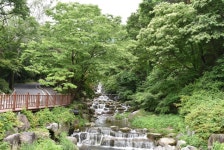 우중캠핑(?) - 비슬산 - 뽐뿌:캠핑포럼 우중캠핑(?) - 비슬산