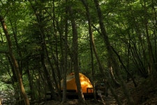 시원하게 잘다녀왔습니다.[한낮기온 24도]홍천 삼봉자연휴양림. - 뽐뿌:캠핑포럼 시원하게 잘다녀왔습니다.[한낮기온 24도]홍천 삼봉자연휴양림.