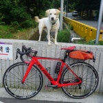 물만골 멍뭉이 - 뽐뿌:자유갤러리 물만골 멍뭉이