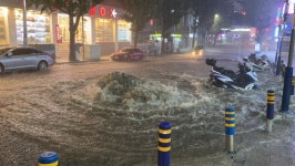 부산 중구 남포동 일대 30분전 상황 - 뽐뿌:자유게시판 부산 중구 남포동 일대 30분전 상황