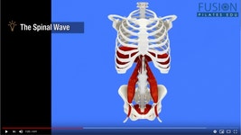 무술에서 왜 실제 동작없이 큰 소리로 기합을 질러요? - 뽐뿌:자유게시판 무술에서 왜 실제 동작없이 큰 소리로 기합을 질러요?