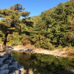 작천정 별빛야영장 솔캠 (10.22-23) - 뽐뿌:캠핑포럼 작천정 별빛야영장 솔캠 (10.22-23)