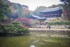 창덕궁 사진.jpg - 뽐뿌:자유게시판 창덕궁 사진.jpg