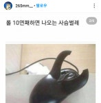 사슴 벌레가 된 마우스 - 뽐뿌:짤방갤러리 사슴 벌레가 된 마우스