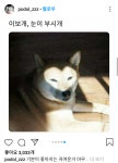 눈이 부시개 - 뽐뿌:짤방갤러리 눈이 부시개