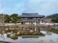 제주도 서귀포 법화사 - 뽐뿌:자유갤러리 제주도 서귀포 법화사