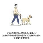 #주식,#산책하는개 - 뽐뿌:짤방갤러리 #주식,#산책하는개