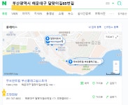 [단독]박형준 엘시티에 실거주한다면서 선관위 주소지는 와이프 화랑 - 뽐뿌:정치자유게시판 [단독]박형준 엘시티에 실거주한다면서 선관위... 
