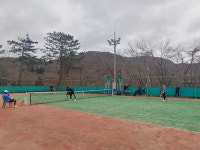 테니스 - 뽐뿌:생활스포츠 테니스