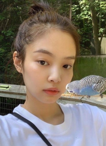 제니 - 뽐뿌:아이돌포럼 제니
