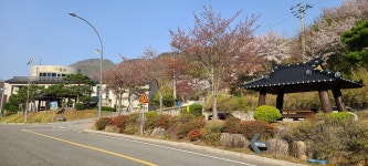 2021.04.17 경북 봉화 청량산 후기 - 뽐뿌:등산포럼 2021.04.17 경북 봉화 청량산 후기