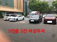 서울시 강동보건소 주차장 현황 - 뽐뿌:자유게시판 서울시 강동보건소 주차장 현황