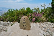 20210424 부산 승학산 찰쭉 - 뽐뿌:등산포럼 20210424 부산 승학산 찰쭉
