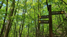 2021.05.05 강원 동해 두타산 후기(베틀바위,데이터주의) - 뽐뿌:등산포럼 2021.05.05 강원 동해 두타산 후기(베틀바위,데이터주의)