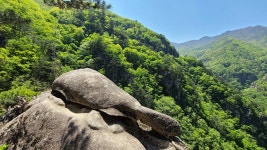 2021.05.05 강원 동해 두타산 후기(베틀바위,데이터주의) - 뽐뿌:등산포럼 2021.05.05 강원 동해 두타산 후기(베틀바위,데이터주의)