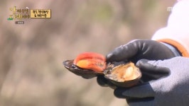 섭구이 한 번 먹어보고 싶네요 - 뽐뿌:자유게시판 섭구이 한 번 먹어보고 싶네요