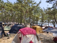 연포해수욕장 현재상황입니다 - 뽐뿌:캠핑포럼 연포해수욕장 현재상황입니다