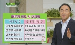 배우자가 외도했을 시 대처하는 방법 - 뽐뿌:자유게시판 배우자가 외도했을 시 대처하는 방법