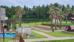 제주 캠핑장 갔다왔습니다 - 뽐뿌:캠핑포럼 제주 캠핑장 갔다왔습니다