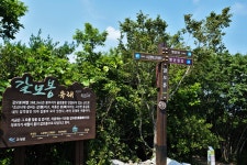 고성 갈모봉산과 그레이스정원 - 뽐뿌:등산포럼 고성 갈모봉산과 그레이스정원