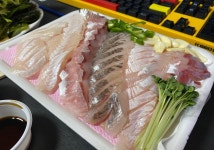 동네횟집 - 뽐뿌:자유갤러리 동네횟집