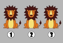 성인 90%가 10초 안에 찾는데 실패했다는 다른 사자 찾기 - 뽐뿌:자유게시판 성인 90%가 10초 안에 찾는데 실패했다는 다른 사자 찾기