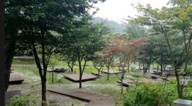 국립 대관령자연휴양림 캠핑장 - 뽐뿌:캠핑포럼 국립 대관령자연휴양림 캠핑장