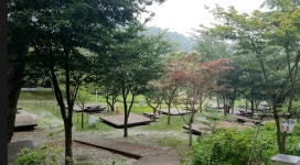 국립 대관령자연휴양림 캠핑장 - 뽐뿌:캠핑포럼 국립 대관령자연휴양림 캠핑장