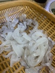 산오징어 - 뽐뿌:자유갤러리 산오징어