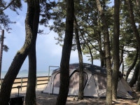 몽산포 제2오토캠핑장 후기 - 뽐뿌:캠핑포럼 몽산포 제2오토캠핑장 후기