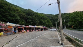 2021.07.26~07.29 영남알프스 9봉 완등 후기(사진 156장, 데이터주의) - 뽐뿌:등산포럼 2021.07.26~07.29 영남알프스 9봉 완등 후기(사진... 