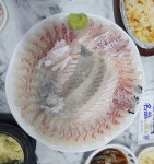 대구 용산동 횟집 (참돔 + 도다리) 6.6만 - 뽐뿌:자유게시판 대구 용산동 횟집 (참돔 + 도다리) 6.6만