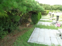 인천가족공원(부개산) 등산로 다녀왔습니다. - 뽐뿌:등산포럼 인천가족공원(부개산) 등산로 다녀왔습니다.