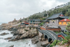 부산 - 해동 용궁사 - 뽐뿌:자유갤러리 부산 - 해동 용궁사