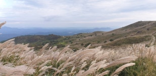 현재 황매산오토캠핑장 입니다. - 뽐뿌:캠핑포럼 현재 황매산오토캠핑장 입니다.
