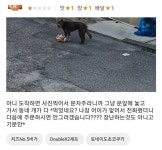 요기요 롯데리아 배달 리뷰 레전드 - 뽐뿌:자유게시판 요기요 롯데리아 배달 리뷰 레전드