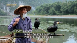 F16 전투기, 새만금에서 가마우지와 충돌(버드스트라이크)했으나 무사히 귀환 - 뽐뿌:자유게시판 F16 전투기, 새만금에서 가마우지와 충돌... 