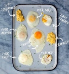 계란의 다양한 영어표현(feat.써니사이드업) - 뽐뿌:자유게시판 계란의 다양한 영어표현(feat.써니사이드업)