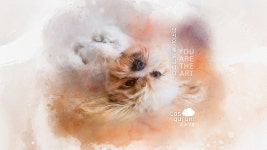 팔자 좋게 누워 있는 강아지 아트입니다. - 뽐뿌:바탕화면갤러리 팔자 좋게 누워 있는 강아지 아트입니다.