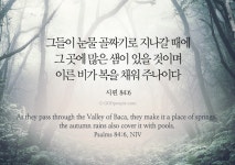오늘의 말씀 - 뽐뿌:종교포럼 오늘의 말씀