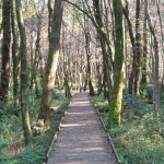 시월의 제주(붉은오름, 교래 자연휴양림) - 뽐뿌:캠핑포럼 시월의 제주(붉은오름, 교래 자연휴양림)