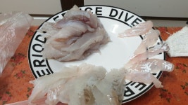 농어+광어 초밥 들어갑니드앗..jpg - 뽐뿌:자유게시판 농어+광어 초밥 들어갑니드앗..jpg