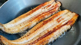 민물장어 넘 맛있네요 - 뽐뿌:자유갤러리 민물장어 넘 맛있네요